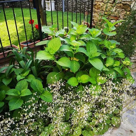 Ca' Du Brigidin Bed & Breakfast 3*