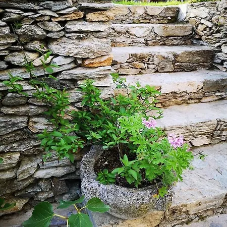 Bed & Breakfast Ca' Du Brigidin