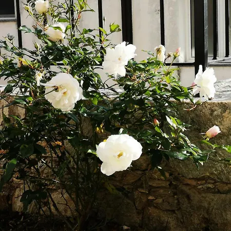 Ca' Du Brigidin Bed & Breakfast Tovo San Giacomo