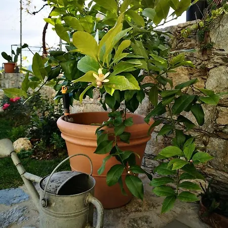 Ca' Du Brigidin Tovo San Giacomo