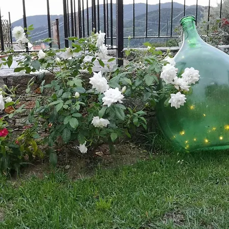Ca' Du Brigidin Bed & Breakfast 3*